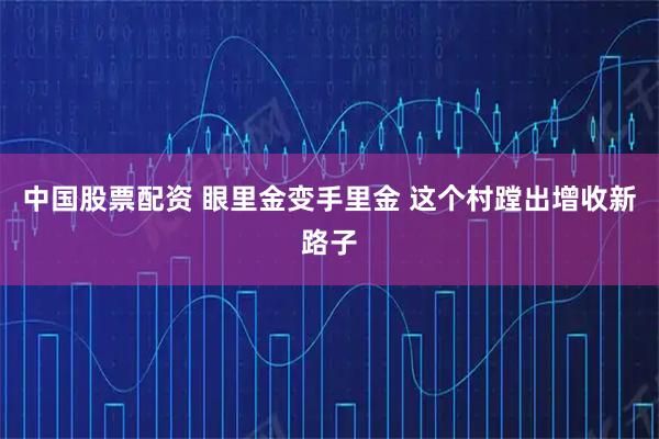 中国股票配资 眼里金变手里金 这个村蹚出增收新路子