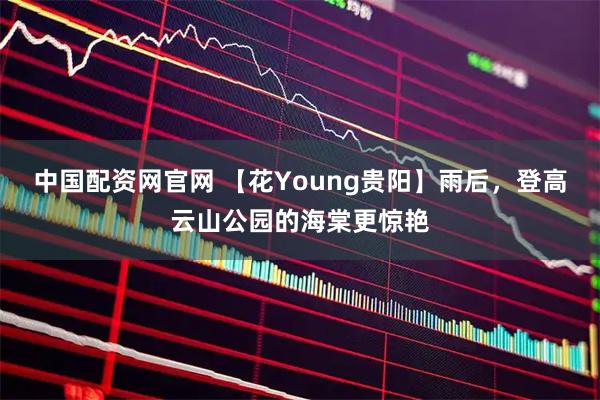中国配资网官网 【花Young贵阳】雨后，登高云山公园的海棠更惊艳