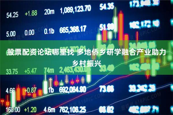 股票配资论坛哪里找 多地侨乡研学融合产业助力乡村振兴